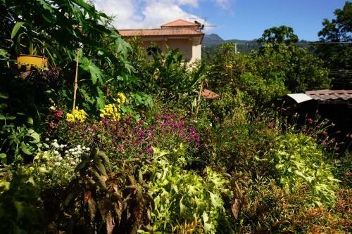 Lodge Hostal Agaseke Boquete