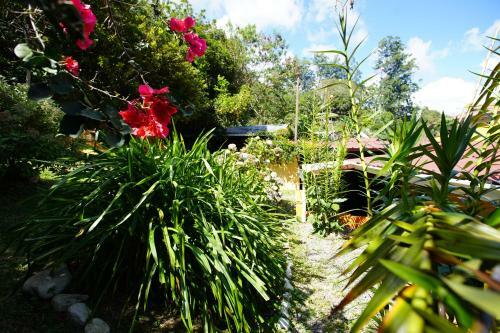 Lodge Hostal Agaseke Boquete