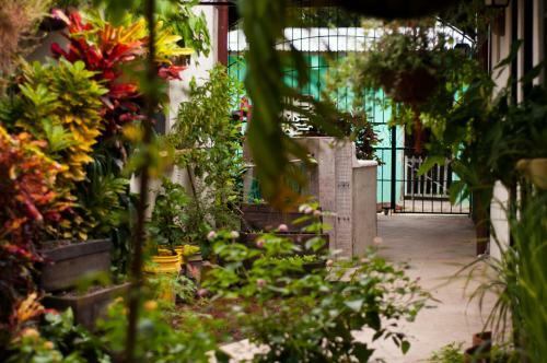 Hostal Villa Astoria