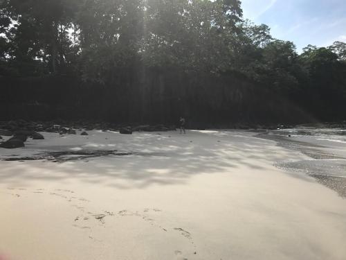 Mango Bay Villa