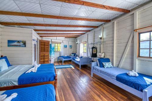 Hotel Cosmic Crab Resort At Careening Cay