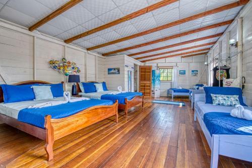 Hotel Cosmic Crab Resort At Careening Cay