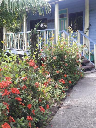 Hotel Cosmic Crab Resort At Careening Cay