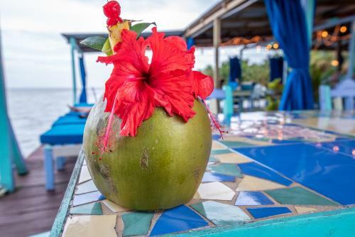 Hotel Cosmic Crab Resort At Careening Cay