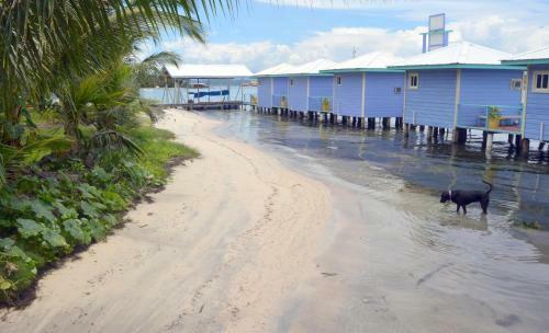 Hotel Cosmic Crab Resort At Careening Cay