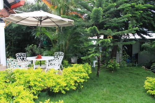 Hostal Chocolate Y Miel