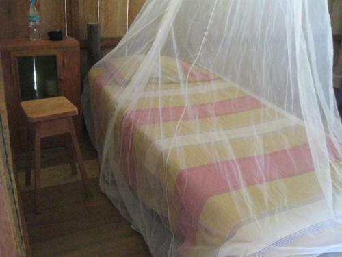 Hostal Lodge Jungle Wolf Expeditions