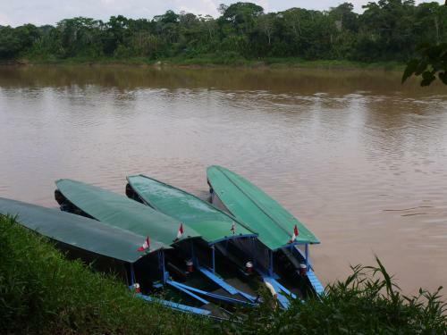 Hostal Posada Amazonas Lodge
