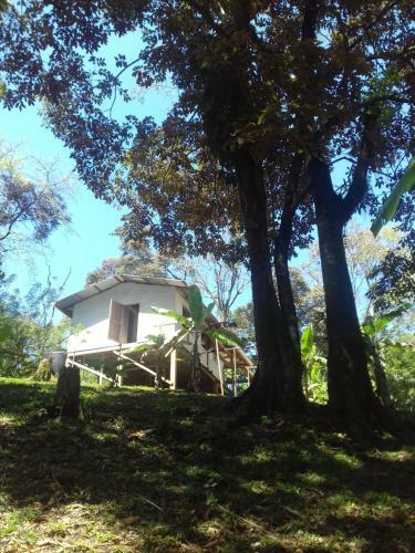 The Blue House
