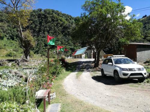 Hostal Bambito�s Caf� & Hostel