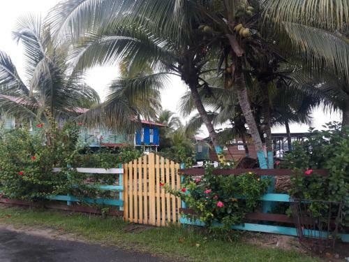 Bocas Hostel Over The Sea