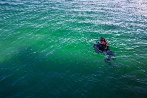Divers Paradise Boutique Hotel