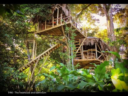 Jungle Treehouse By The Sea