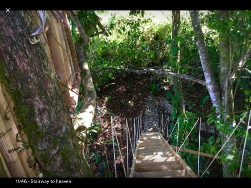 Jungle Treehouse By The Sea