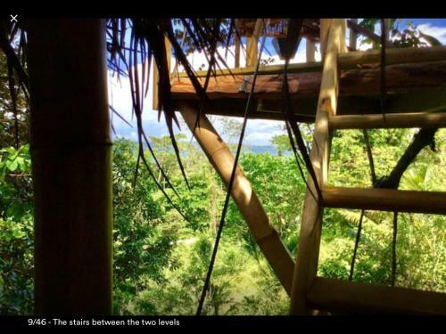 Jungle Treehouse By The Sea