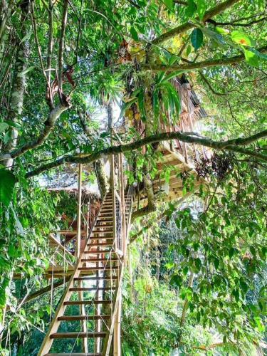 Jungle Treehouse By The Sea
