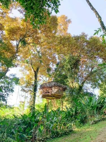 Jungle Treehouse By The Sea