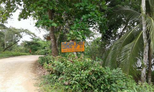 Surf Break At Paunch
