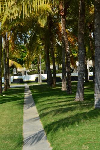 Apartamento 114