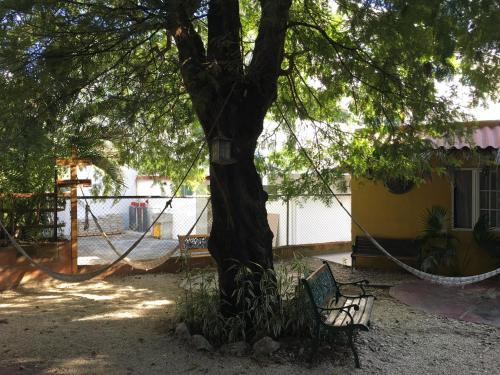 Albergue Nomade Hostal