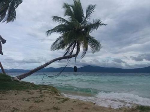 Trip Abia Yala
