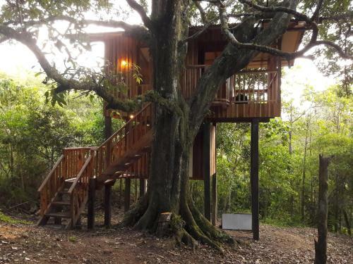 Lodge Mount Totumas Cloud Forest