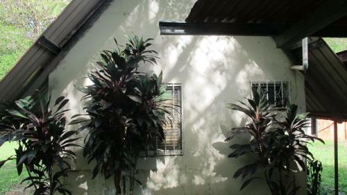 Waterfall Hostel
