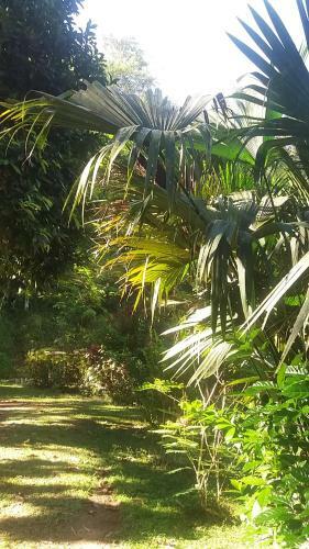 Lodge Casita Rio Indio