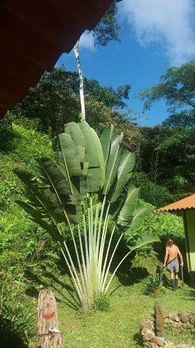 Lodge Casita Rio Indio