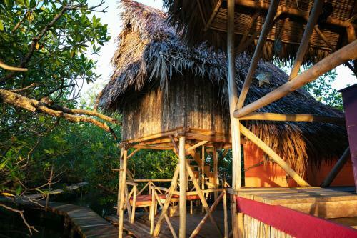 Lodge Urraca Private Island