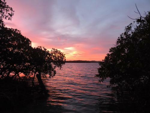 Lodge Urraca Private Island