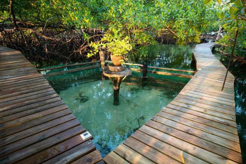 Lodge Urraca Private Island