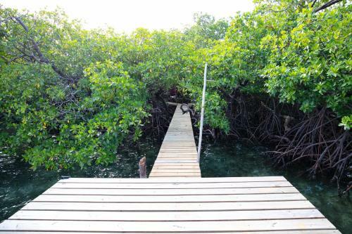 Lodge Urraca Private Island
