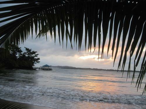 Sand Dollar Beach Bed & Breakfast