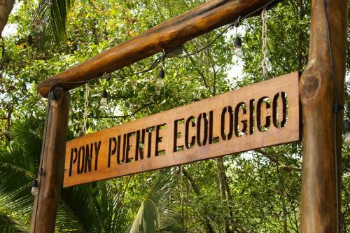 Hotel Show Pony Beach Resort And Suites