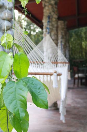 Lodge Los Aramos
