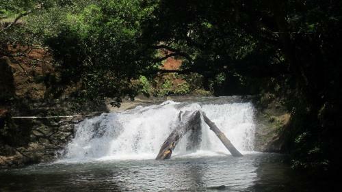 Waterfall Hostel