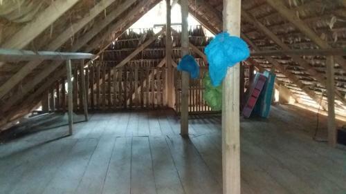 Lodge Ocen Tour