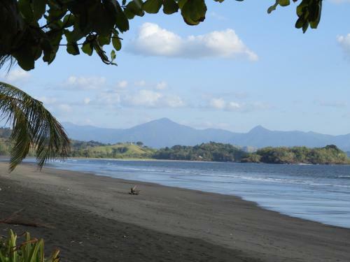 El Nido Del Tuc�n