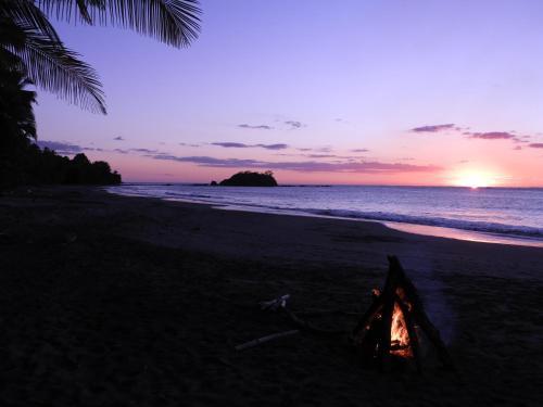 El Nido Del Tuc�n