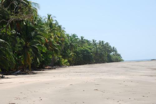 El Nido Del Tuc�n