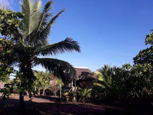 Albergue Hostal Pachamama