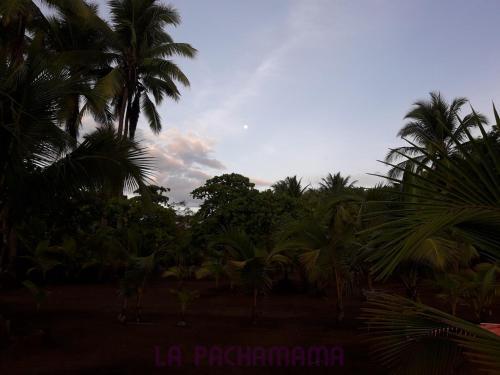 Albergue Hostal Pachamama