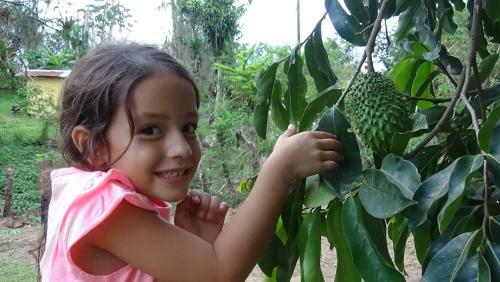 Soursop Hostel