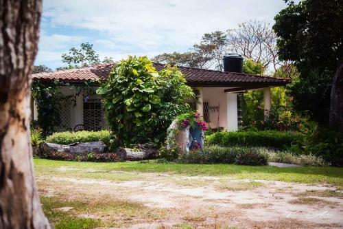 Cabanas Las Mandarinas