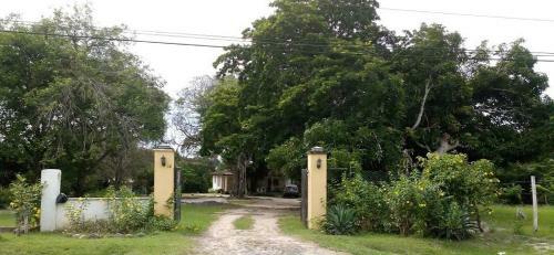 Cabanas Las Mandarinas
