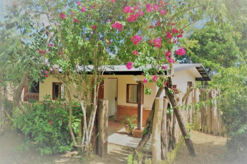 La Casita Surf Dojo