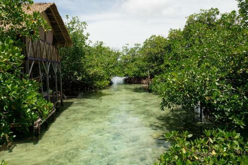 Hotel Urraca Private Island
