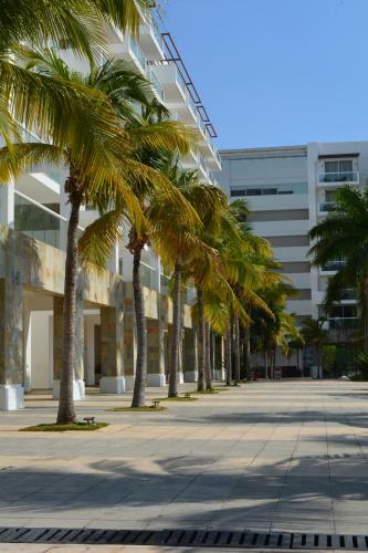 Apartamento 515