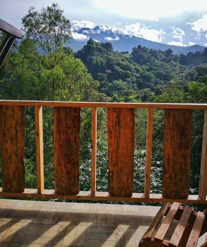 Bed & Breakfast Eco Horqueta